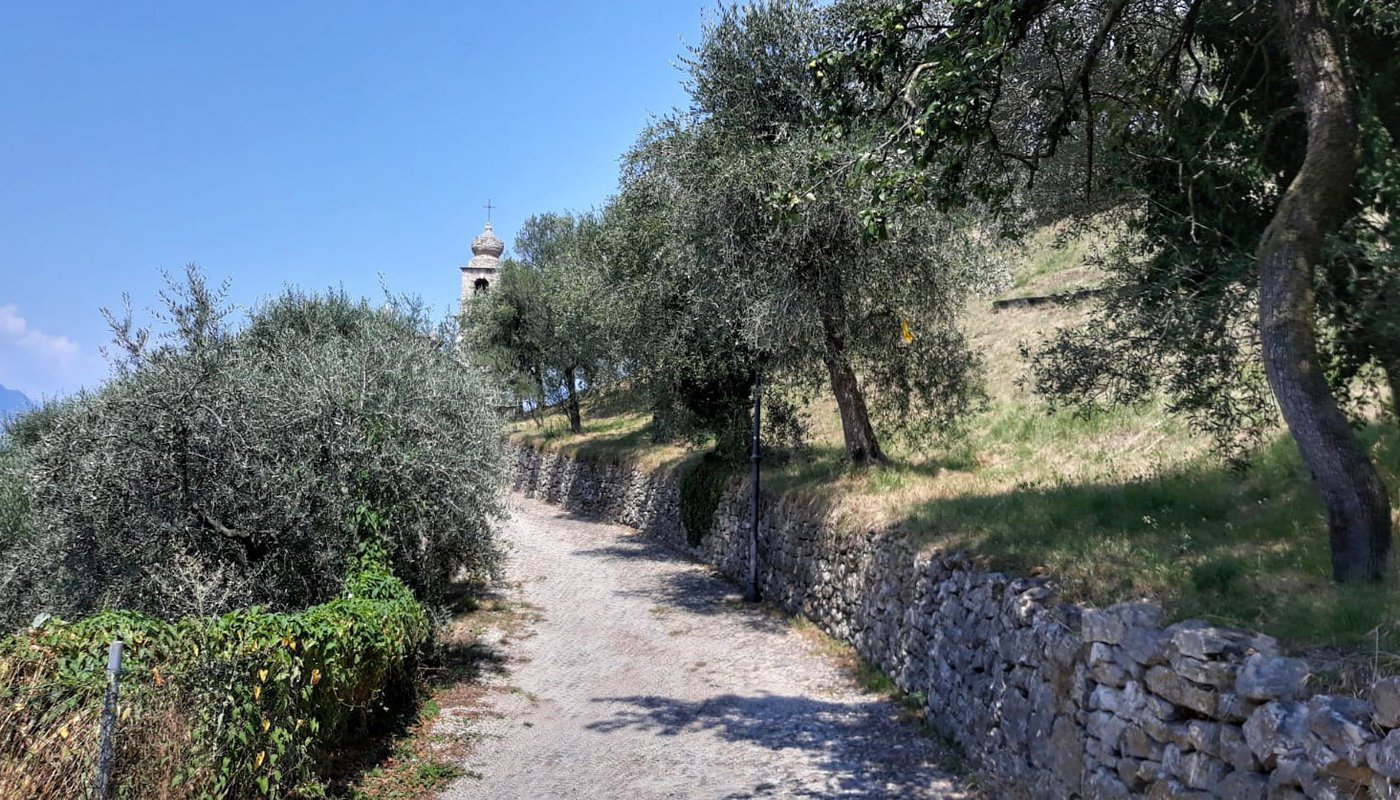 garda sentiero olivo