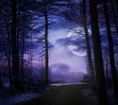 moonligh forest luna piena